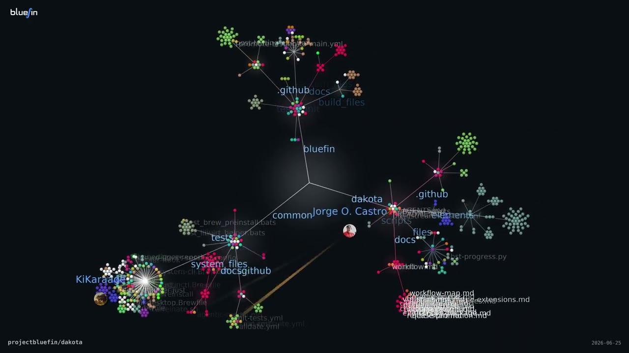 Bluefin Development Visualized