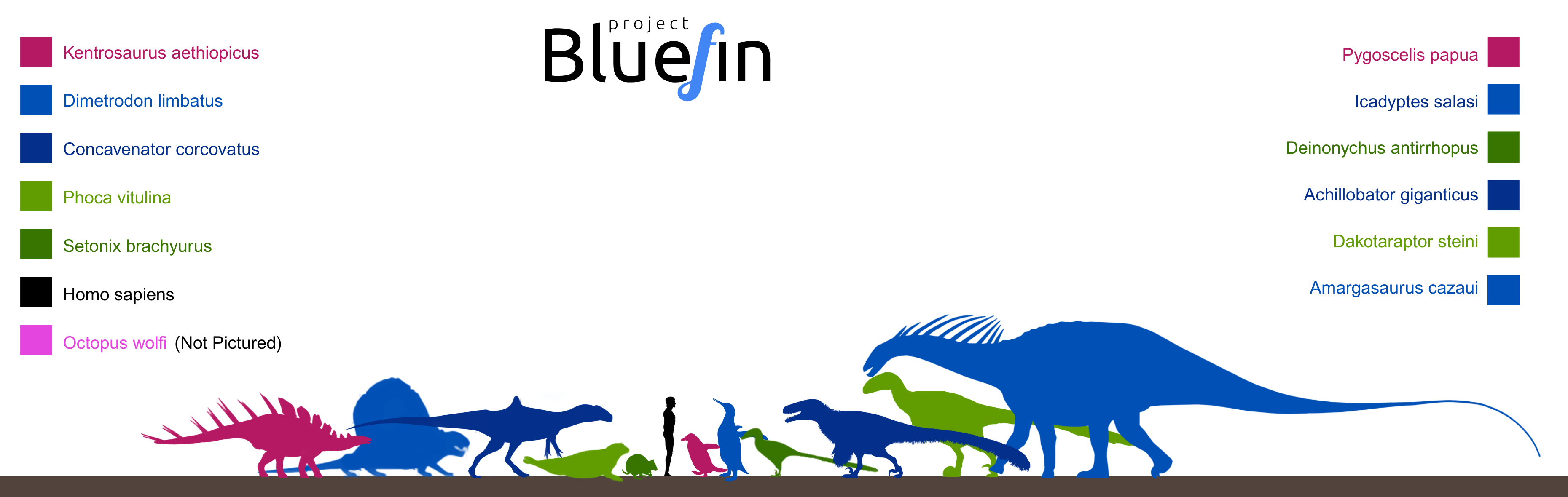 Bluefin