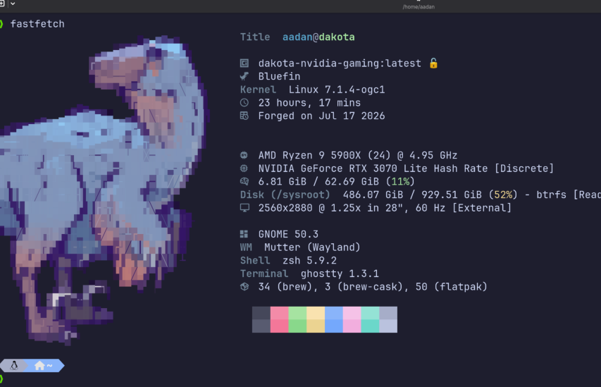 Fastfetch terminal output showing the Dakota NVIDIA gaming image and OGC gaming kernel